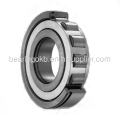 STEYR NU1064 Cylindrical Roller Bearings