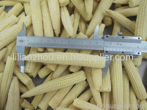 IQF frozen Baby Corn