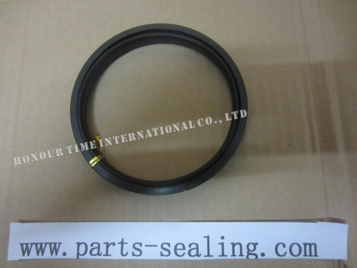 spgw piston rod seal