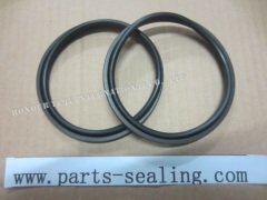 SPGO piston rod seal