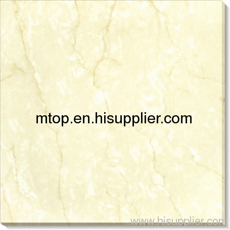 SOLUBLE SALT MXN6120 polished tile