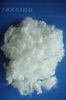 the virgin hollow conjugated polyeste staple fiber