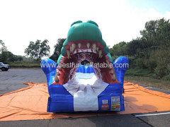 Inflatable Alligator Slip And Slide