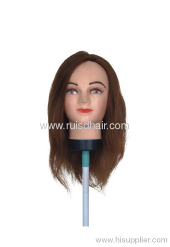 High quality Training mannequin head with human hair