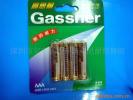 Shenzhen Gassner Battery Co.,Ltd