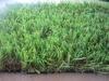 U Shape PE Home Artificial Grass For Green House Fire Resistant