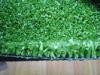 PE Curly Fibrillated Yarn Cricket Pitch Grass Artificial Synthetic Turf