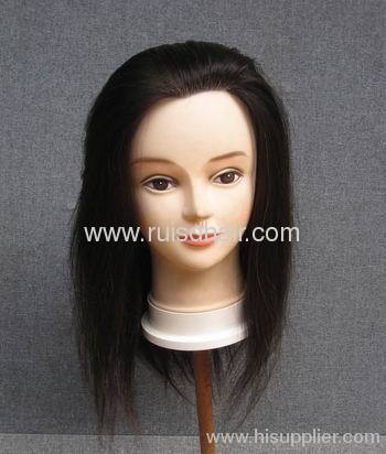 traning head/mannequin head for hairdressing school