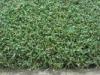 Light Green 15mm 5800Dtex Hockey Artificial Grass Wear Resistant