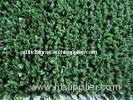 6600dtex 9mm Tennis Artificial Grass , Sports Outdoor Synthetic Lawn