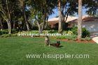 11000dtex Landscaping Artificial Pet Grass Mat For Garden Decorative
