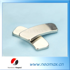 Irregular Sintered NdFeB magnet