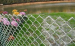 Pvc Coated Chain Link