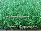Nylon Bicolor Curly Yarn Fake Turf Grass 10mm Height 3/16'' Gauge