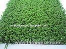8800dtex 10mm Green Fake Turf Grass For Tennis , Hocky Field