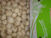 China fresh white garlic