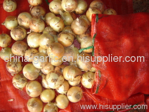 Provide chinese exports fresh yellow onions