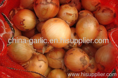 sell chinese fresh yellow onions