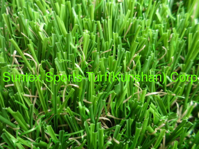 high quality carpet grass for landscape