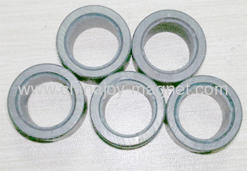 bonded injection NdFeB ring magnet