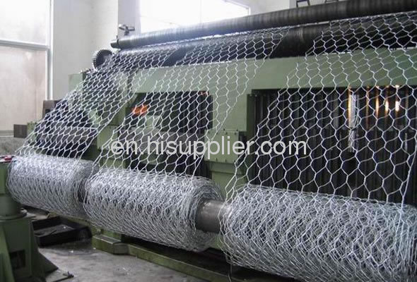 Anping Hexagonal wire mesh