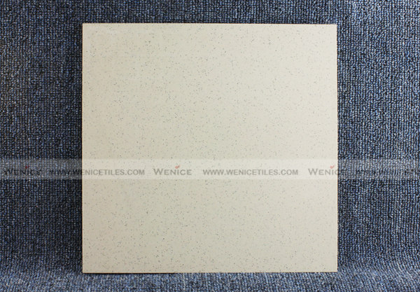 Ceramic tiling 12 x12with competitive price