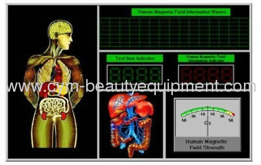 2013 Hot selling quantum megnetic resonance body analyzer