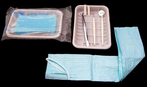 Medical disposable dental kit