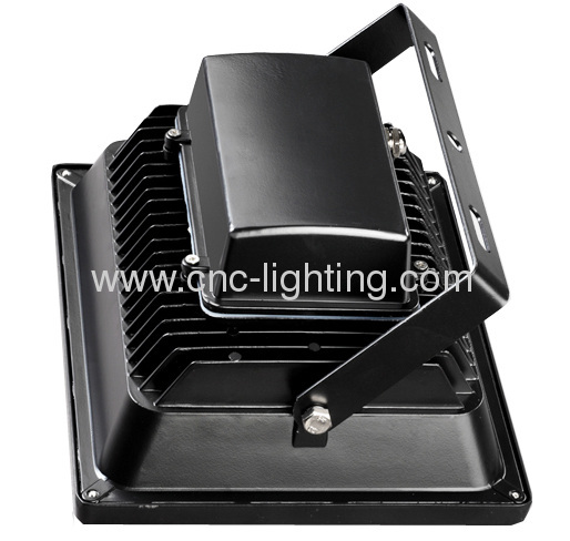 20-50W IP65 COB LED Floodlight 