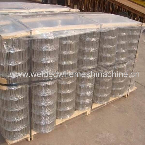 Electro Galvanized Welded Wire Mesh