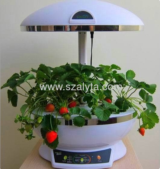 Smart home environment fresh functional diversification stands in one of the fish to grow vegetables smart garden