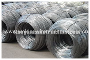 Electro galvanized iron wire