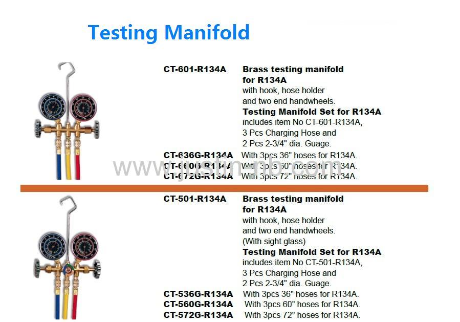 Testing Manifold