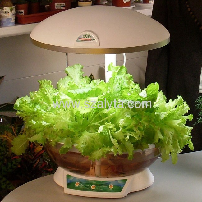 2013 best-selling products flowerpot flowers and vegetables fish lamp set in one product