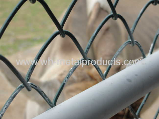 chain link Security fencing