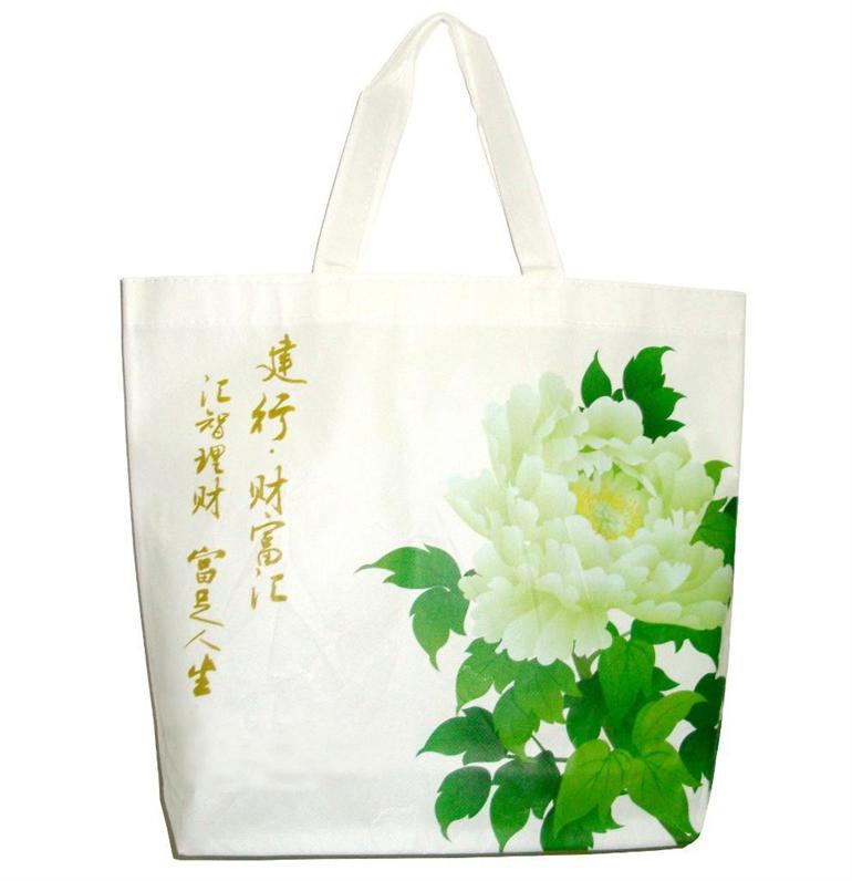 Promotion tote bag with non woven N1021