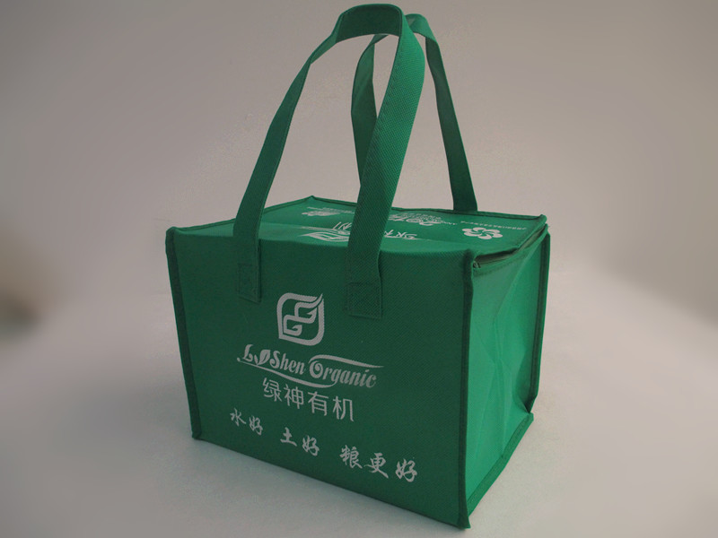 Zipper shopping bag with non woven material N1024