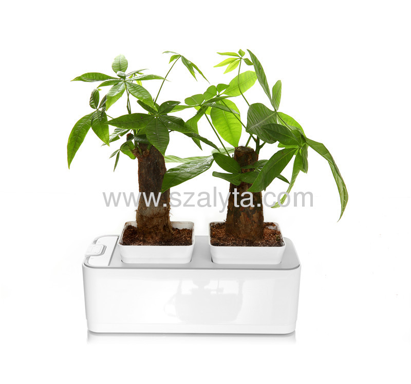 2013 new technology products smart mini garden