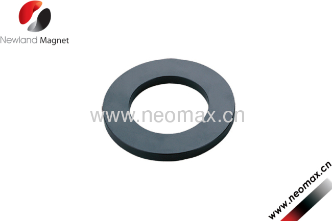 Ni coating ring magnet