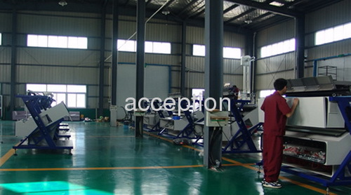 Pumkin seeds 5000*3 pixel CCD color sorter