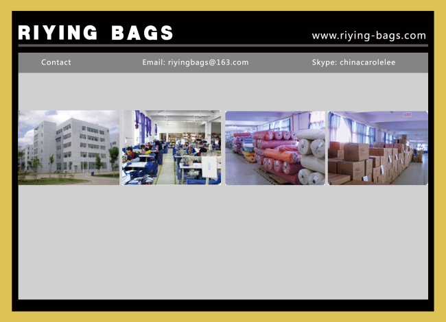 Top quality PP laminated non woven bag LB1005