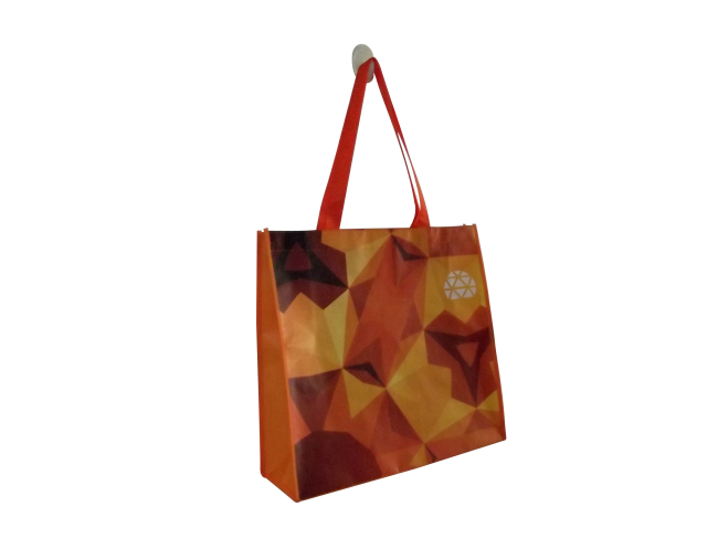 Newest PP laminated non woven bag LB1008