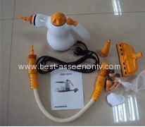 Multifunction electric iron ,Portable cleaner electric iron,Steam dry brush