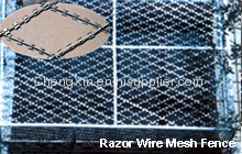 Heavy galvanized razor barbed wire BTO-22( factory price)