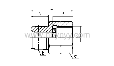 5TB-G/SP BSPT MALE/BSP PRESSURE GAUGE CONNECTORS HYDRAULIC ADAPTERS PIPE FITTINGS COUPLING CONNECTER