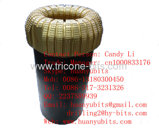API &ISO : PDC bit for oil well drilling