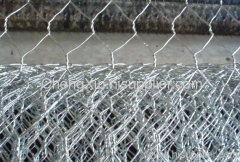 Anping Hexagonal wire mesh