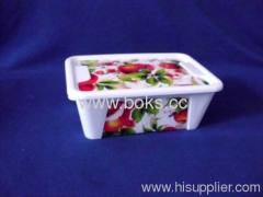 cheap plastic preservation boxes