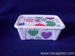 2013 mini plastic preservation boxes