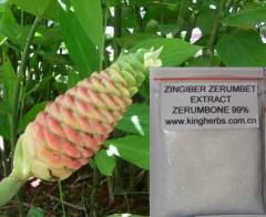 China Zingiber Zerumbet Extract